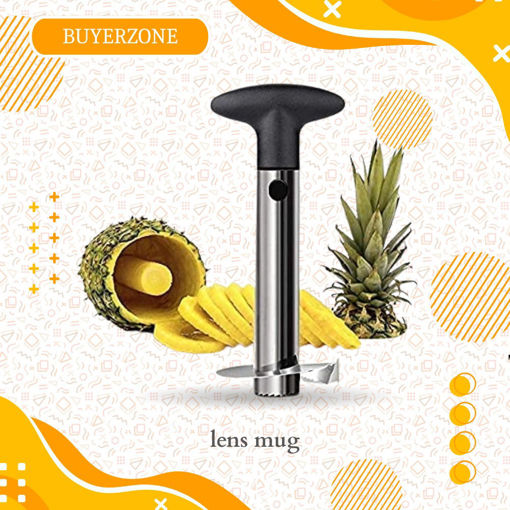 Picture of Pineapple Cutter Chinese Quality