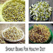 Picture of 4 Layer Sprout Maker