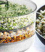 Picture of 4 Layer Sprout Maker