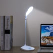 Picture of Desk Lamp