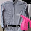 Picture of Garment Steamer - RZ