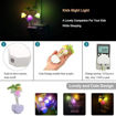 Picture of Mushroom Light