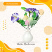 Picture of Matka Mushroom