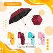 Picture of Capsule Umbrella
