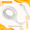 Picture of USB Smart Voice Light
