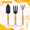 Picture of Gardening Tools (Set of 3)