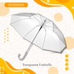 Picture of Transparent Umbrella