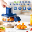 Picture of Automatic Fruit & Vegetable Peeler Machine