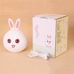 Picture of Silicone Rabbit Night Lamp