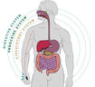 Picture of Sugar Control Acupressure Clip