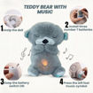 Picture of Breathing Teddy Bear
