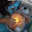 Picture of Breathing Teddy Bear