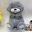 Picture of Breathing Teddy Bear