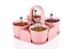 Picture of Marvella Dry fruit and Spice Tray