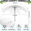Picture of Transparent Umbrella