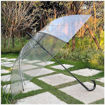 Picture of Transparent Umbrella