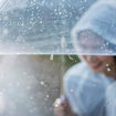 Picture of Transparent Umbrella