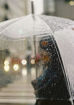 Picture of Transparent Umbrella