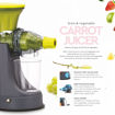 Picture of Manual Juicer (Small Size)
