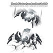 Picture of TZ - RC Spider Toy Light & Sound Effects