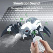 Picture of TZ - RC Spider Toy Light & Sound Effects