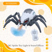 Picture of TZ - RC Spider Toy Light & Sound Effects