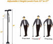Picture of Walking Stick With Light