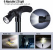 Picture of Walking Stick With Light