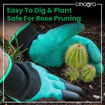Picture of Garden Gloves