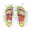 Picture of Foot Massager Slippers