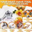 Picture of Aluminum Fruit Juicer Indian