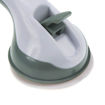 Picture of Helping Handle