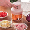 Picture of Electric Garlic Chopper