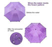 Picture of Magic Umbrella