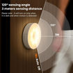 Picture of Motion Sensor Light