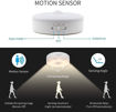 Picture of Motion Sensor Light