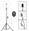 Picture of Ring light (Without Stand)