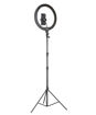 Picture of Ring light (Without Stand)