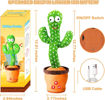 Picture of Dancing Cactus Toy