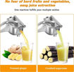 Picture of Aluminum Fruit Juicer (Big Size)