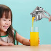 Picture of Aluminum Fruit Juicer (Big Size)