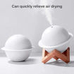 Picture of Planet Humidifier