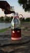Picture of Portable USB Electric Bottle Juicer /  Bottle Shape Juicer (320 ML)
