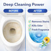 Picture of Toilet Cleaning Tablet