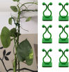 Picture of Plant Climbing Wall Clips