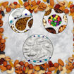 Picture of 7 Compartment Dry Fruit Serving Rotating Tray