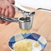 Picture of Stainless Steel Garlic Crusher