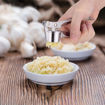 Picture of Stainless Steel Garlic Crusher