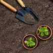 Picture of Gardening Tools (Set of 3)