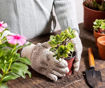 Picture of Gardening Tools (Set of 3)